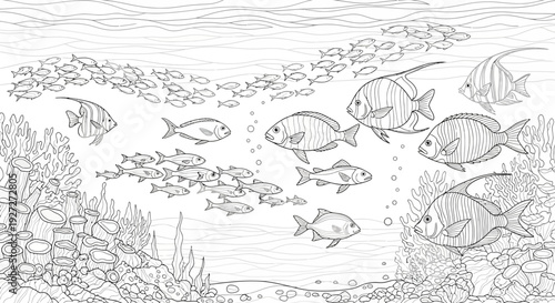 Detailed underwater scene with diverse fish and coral reef, black and white line art illustration for coloring book.