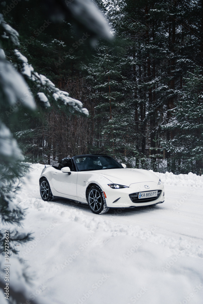 Εκτύπωση καμβά White roadster Mazda MX-5 Miata in the winter forest