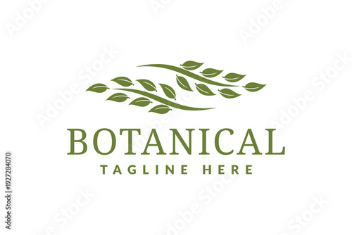 Leaf nature logo vector illustration, leaf logo template