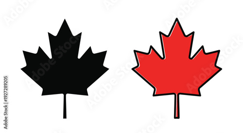 Two maple leaves one black and one red a contrasting view silhouette