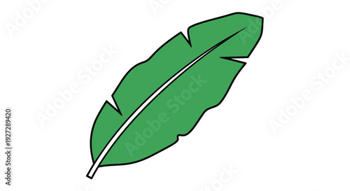A single green banana leaf with a dark outline silhouette