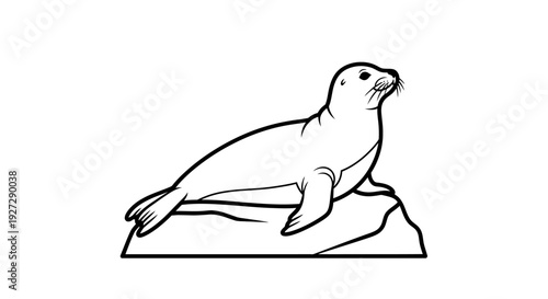 Simple line art illustration of a seal resting on a rock.