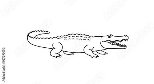 Outline drawing of a fierce alligator with open jaws.