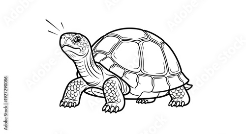 Detailed Line Art of a Majestic Tortoise with Intricate Shell Patterns.
