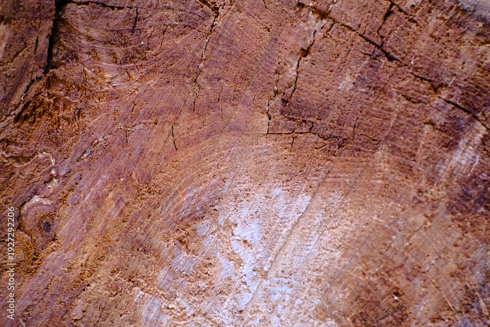 Fototapeta premium Old woden background texture with natural pattern 