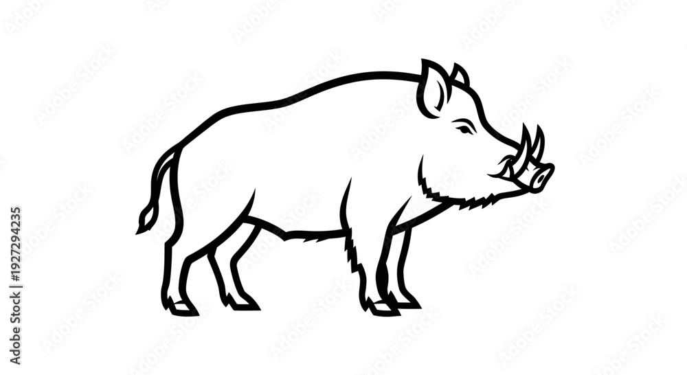 Fototapeta premium Wild Boar Line Art Illustration.