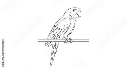 Detailed Line Art Drawing of a Parrot Perched on a Branch.