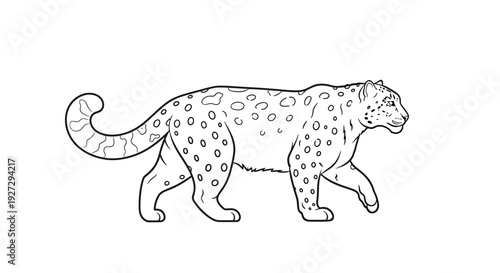 Detailed Line Art Illustration of a Majestic Leopard Walking Gracefully.