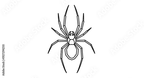 Detailed outline drawing of a spider with eight legs.
