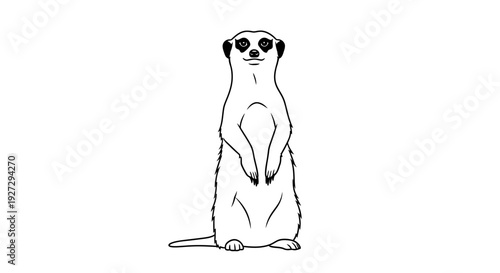 Meerkat standing alertly on hind legs in a simple line art drawing.