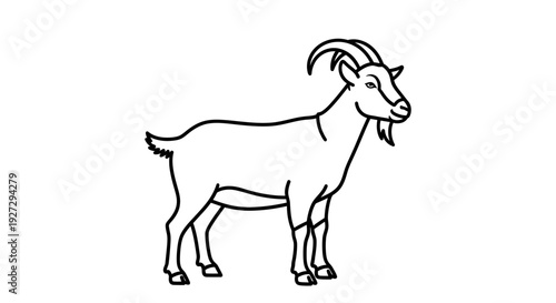 Simple Line Art Drawing of a Goat Standing.