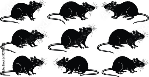Rat silhouettes illustration vector cartoon rodents animal wildlife pattern graphics, educational design concept, black and white creative art collection