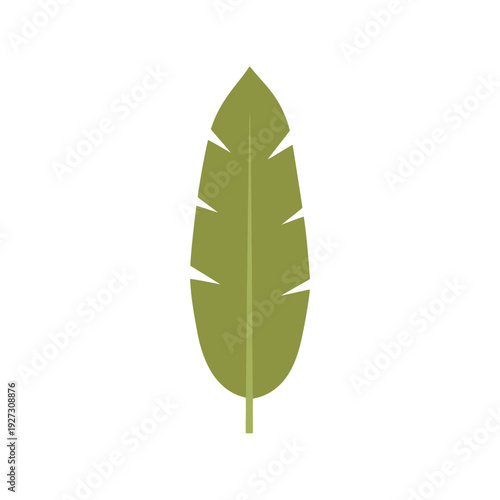 Green Banana Leaf Vector Clipart Isolated on White Background for Tropical Design