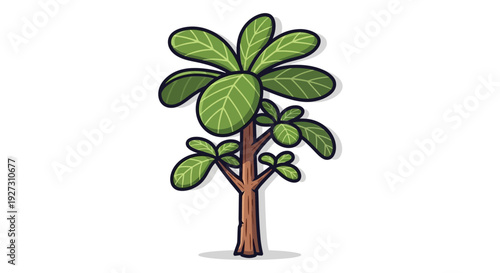 Vector illustration of a young teak tree with large textured green leaves and brown trunk
