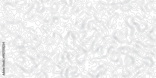 Gray topographic map lines on white background for design purposes