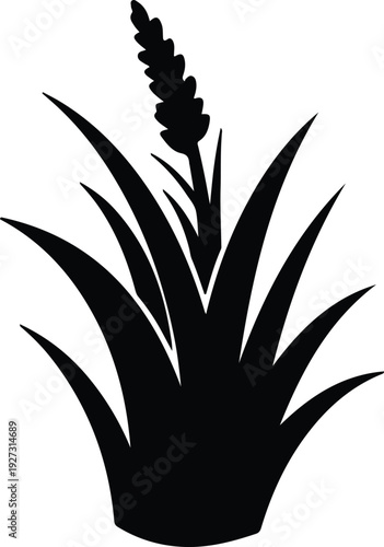 silhouette floral lavender plant with long grass leaves in black vector design