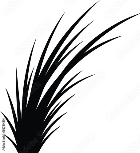 silhouette long grass tuft swaying in the wind isolated vector design