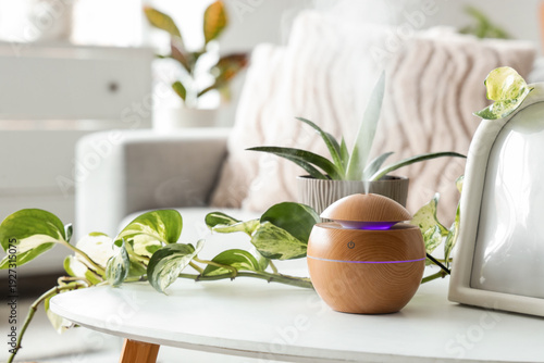 Air humidifier with green p...