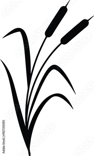 silhouette of marsh cattail plant with long leaves isolated vector design