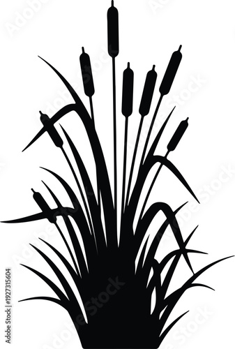 silhouette swamp cattails and marsh grass reeds in nature vector design