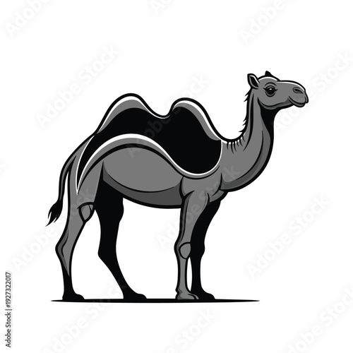 Standing camel in profile view with distinctive humps