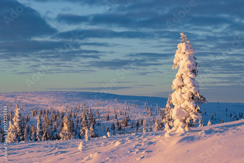Hiking to the summit of Mount Kiilopää during a spectacular arctic sunset in Finnish Lapland.