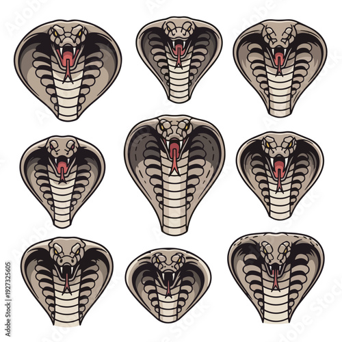 Set of angry cobra snake heads with open mouths