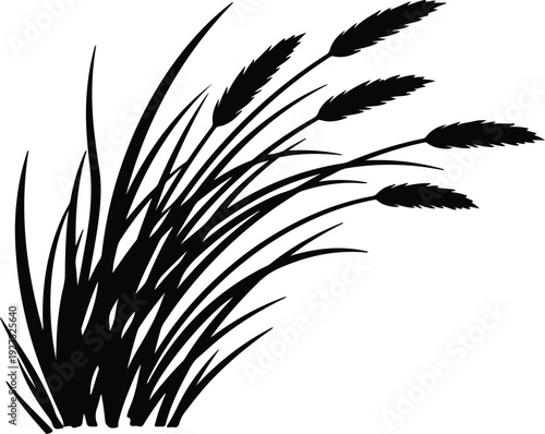 silhouette Decorative wild grass reeds nature elements botanical illustration vector design