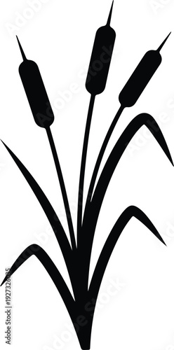 silhouette of bulrushes growing in wetland pond for nature vector design