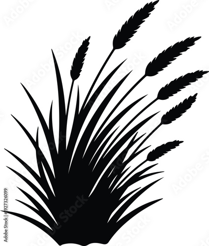 silhouette of growing meadow grass stems with seeds vector design