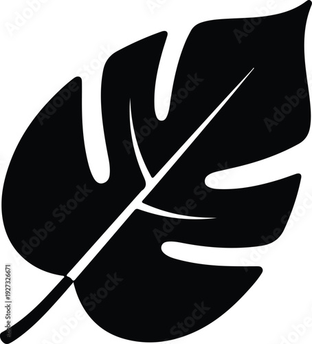 silhouette tropical monstera deliciosa leaf isolated on white background vector design