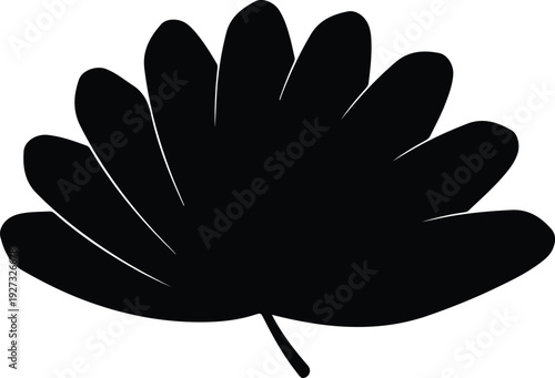 silhouette tropical palm leaf shape isolated on white background vector design