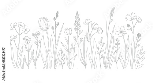 Beautiful black and white line art illustration depicting a variety of diverse meadow wildflowers and tall grasses growing together in a natural horizontal border design.