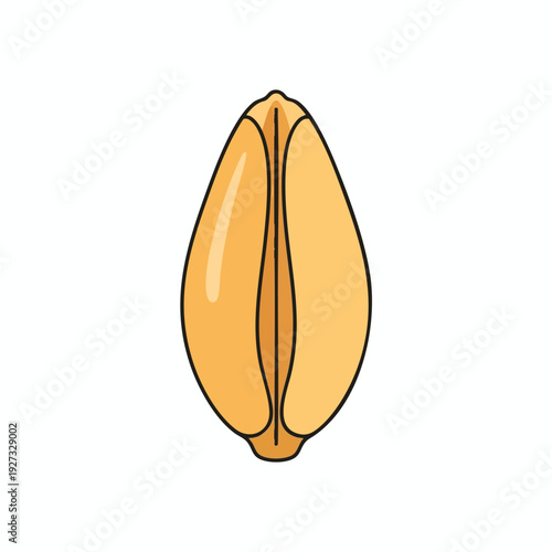 Close up of Freshly Cut Cucumber Healthy Vegetable for Cooking and Salads