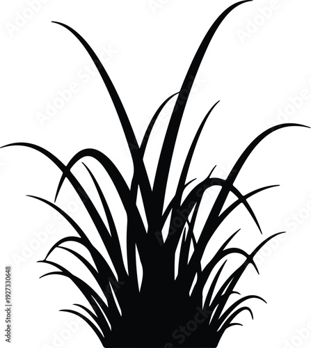 silhouette fresh natural garden grass meadow plant growth element vector design