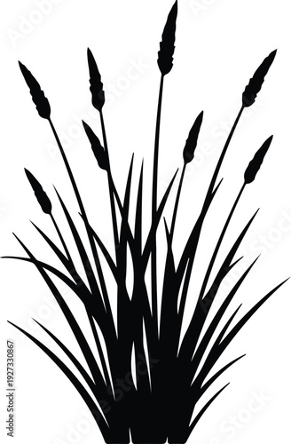 silhouette long grass marsh plant field meadow botanical natural element vector design
