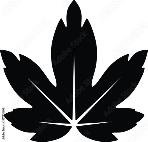 silhouette stylized autumn maple leaf nature element isolated flat vector design