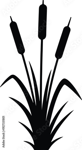 silhouette three cattail plants in marshland nature illustration vector design