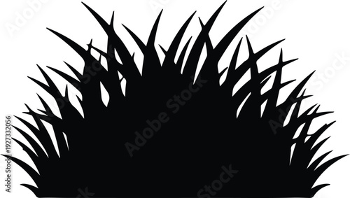 silhouette wild tall grass bush nature border growth element vector design