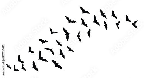 Silhouette collection of numerous black bats flying together in a scattered flock formation against a pure white background perfect for seasonal decoration
