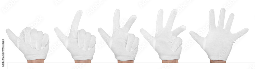 Obraz premium Hands in cloth glove isolated on white, set