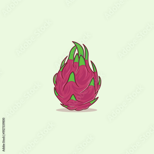 Dragon Fruit Illustration Flat Vector Exotic Tropical Fruit Design