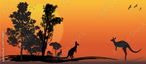 Kangaroo silhouette at sunset in  outback Australia
