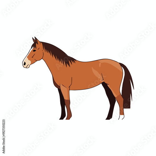 Illustration of a Brown Horse with a Dark Mane and Tail on a White Background