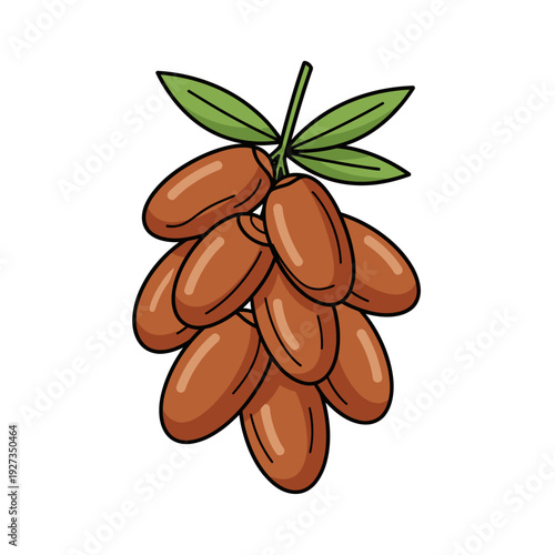 Bunch of dates with leaves, a sweet and nutritious fruit, vector illustration of a healthy snack, isolated on a clean background