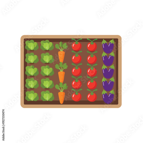 Fresh Vegetables Arranged in a Colorful Wooden Crate for Healthy Eating
