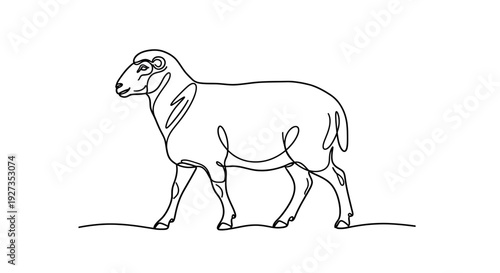 Continuous line drawing of a sheep walking, minimalist animal art