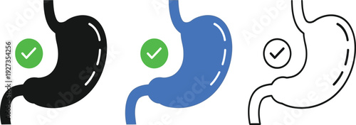 Colorful illustrations of human stomach anatomy in black, blue, and line art