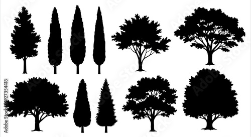 Diverse Tree Silhouettes Collection: Evergreen, Cypress, and Deciduous Varieties