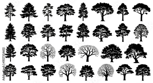 Diverse Tree Silhouettes Collection: Deciduous and Coniferous Forest Elements